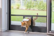 Katzenklappe Insektenschutz - KFS Fensterbau & Montagetechnik GmbH
