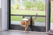 Katzenklappe Insektenschutz - KFS Fensterbau & Montagetechnik GmbH